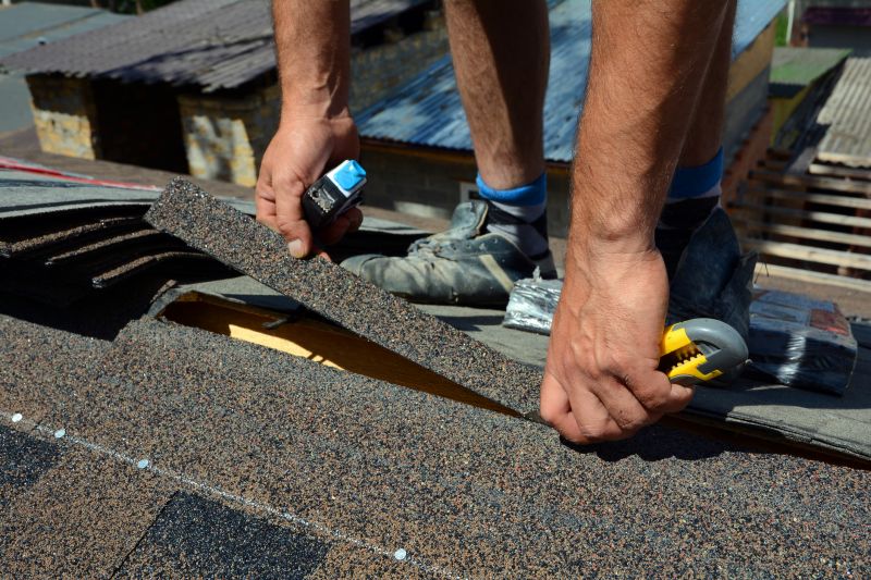 Shingle Repair Experts